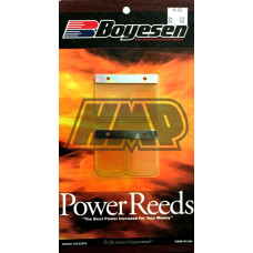 Lamelas YAMAHA YZ 250 2001-2002 competição - BOYESEN